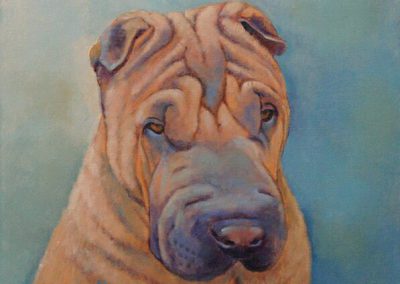 Een portret van een Shar-Pei