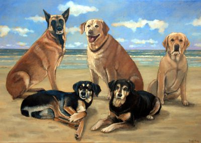 Portret van vijf honden op een strand